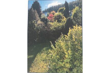 Schöne 2 Zimmer Wohnung zu vermieten in Bad Orb - Gründau