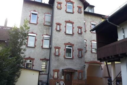 1-Zimmer Appartement für zwei Personen Paar - Ludwigshafen am Rhein Ludwigshafen-Hemshof