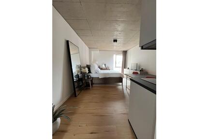 Moderne 1-Zimmer Wohnung ab sofort für Azubis Studis - Bielefeld Schildesche