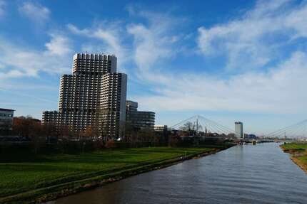 Wohnung zum Mieten in Mannheim 490,00 € 32 m²