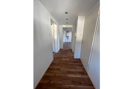 2 Zimmer Single Wohnung Moers Hülsdonk mit Küche - Kamp-Lintfort