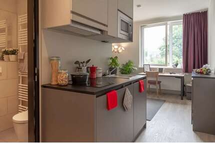 Wohnen auf Zeit in Leipzig 619,00 €