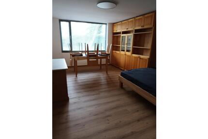 Pendlerwohnung - 400,00&nbsp;EUR Kaltmiete, ca.&nbsp; 28,00&nbsp;m&sup2; in Mainz (PLZ: 55124) Gonsenheim