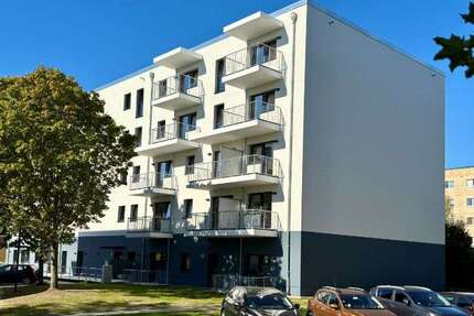 Wohnung zum Mieten in Rostock 359,00 € 37.72 m²