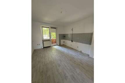 Wohnung zum Mieten in Hagen 450,00 € 55 m²