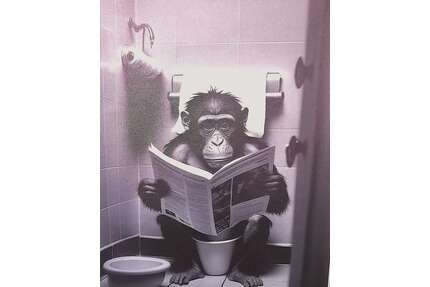 WG-Zimmer in lemgo 349,00 € 15 m²