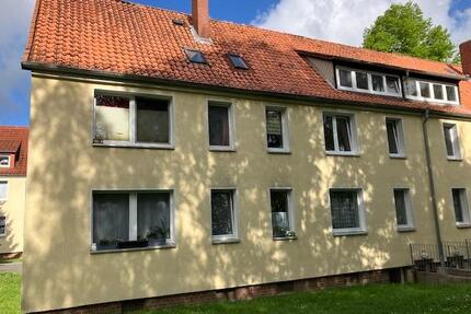 2 Zimmer Wohnung in Bad Münder - 295,00&nbsp;EUR Kaltmiete, ca.&nbsp; 42,05&nbsp;m&sup2; in Bad Münder am Deister (PLZ: 31848)