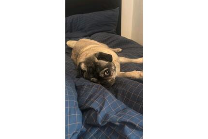 Große 3 Zimmer Hof Wohnung ,Traumlage in Schwarme . - Martfeld