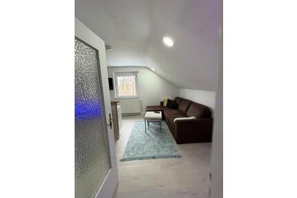 Voll möblierte 2-Zimmer Wohnung - sofort bezugsfrei - Wörth am Rhein