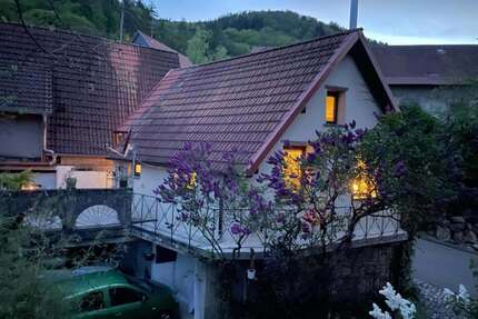 Wohnen auf Zeit in Dannenfels 1.350,00 €