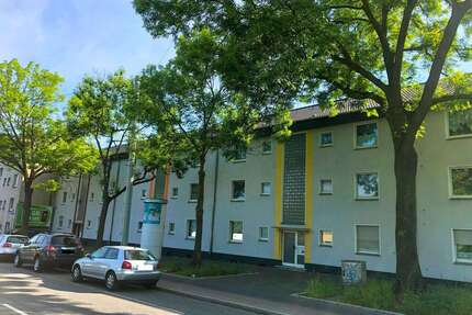 Wohnung zum Mieten in Bochum 380,00 € 47 m²