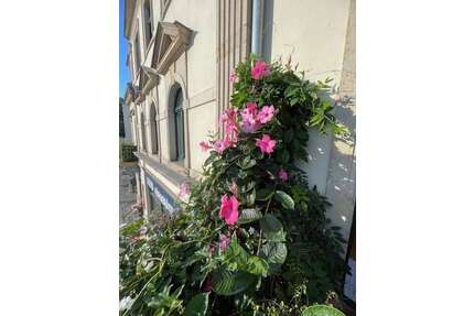 Wohnen auf Zeit in Dresden 1.400,00 €