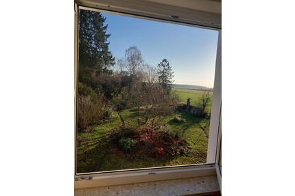 WG Zimmer in familiärer Berufstätigen WG - Ronnenberg